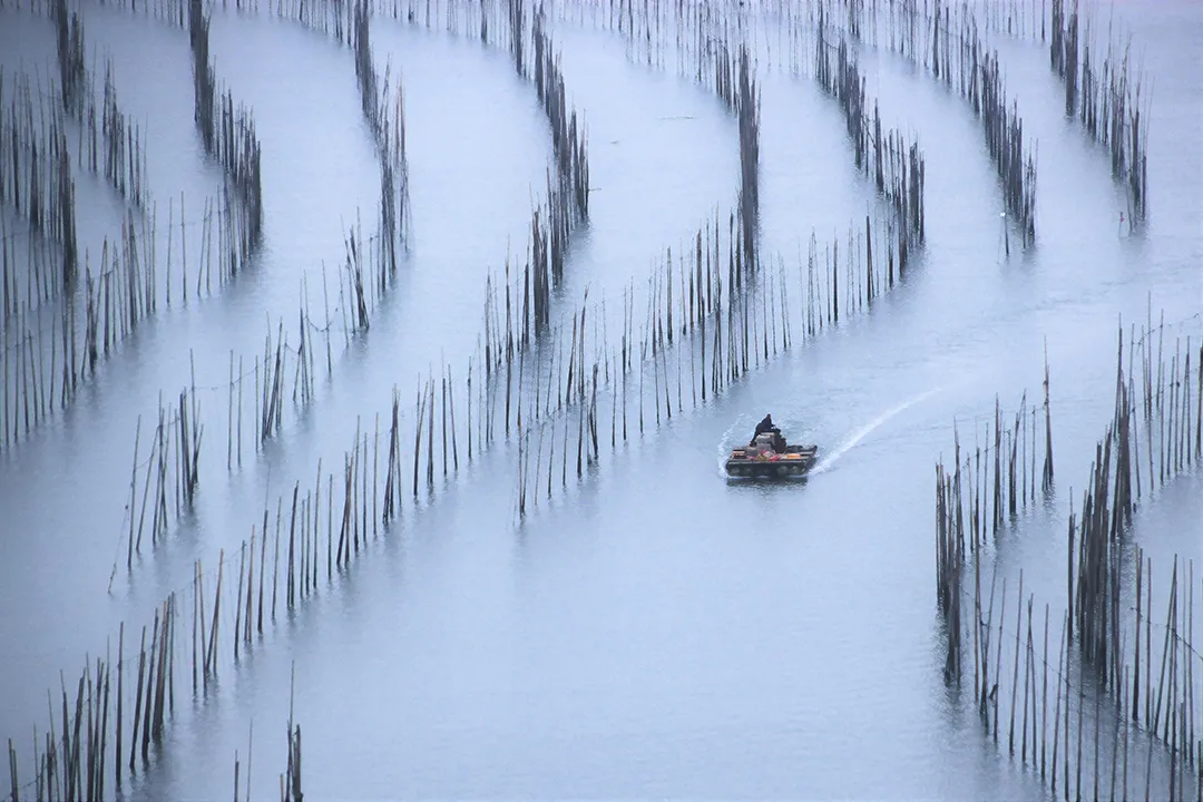 冬至|建始也，冬來也|